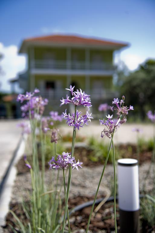 Olivegrove House Leilighet Vourvourou Eksteriør bilde