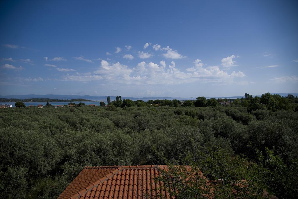 Olivegrove House Leilighet Vourvourou Eksteriør bilde